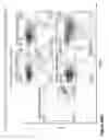 Fig. 85 - COMPOUND CHIMERIC ANTIGEN RECEPTOR (cCAR) TARGETING MULTIPLE ANTIGENS, COMPOSITIONS AND METHODS OF USE THEREOF