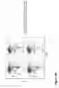 Fig. 99 - COMPOUND CHIMERIC ANTIGEN RECEPTOR (cCAR) TARGETING MULTIPLE ANTIGENS, COMPOSITIONS AND METHODS OF USE THEREOF