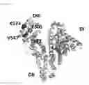 Fig. 03 - Albumin variants and uses thereof