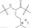 Fig. 43 - Derivatives of elastin-like polypeptides and uses thereof