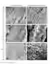 Fig. 01 - Crystal Structures Comprising Elastin-Like Peptides