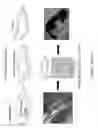 Fig. 07 - Crystal Structures Comprising Elastin-Like Peptides