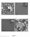 Fig. 08 - Crystal Structures Comprising Elastin-Like Peptides