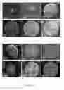 Fig. 35 - Crystal Structures Comprising Elastin-Like Peptides