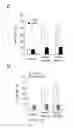 Fig. 08 - Method and pharmaceutical composition for use in the treatment of cancer