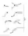 Fig. 06 - Glycosylated repeat-motif-molecule conjugates