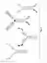 Fig. 09 - Glycosylated repeat-motif-molecule conjugates