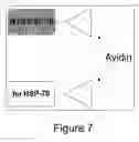 Fig. 05 - Immunotherapies employing self-assembling vaccines