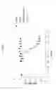 Fig. 07 - ANG2-BINDING MOLECULES