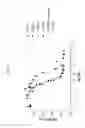 Fig. 08 - ANG2-BINDING MOLECULES