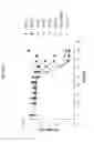Fig. 09 - ANG2-BINDING MOLECULES