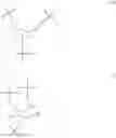 Fig. 09 - Porous/nanoporous PHT