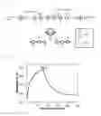 Fig. 02 - Methods for producing chitin oligomer, N-acetylglucosamine, and 1-O-alkyl-N-acetylglucosamine