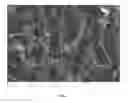 Fig. 02 - Resilient foams and uses thereof