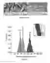 Fig. 16 - Templated synthesis of shape-controlled polymeric nanofibers by chemical vapor deposition (CVD) in liquid crystals