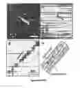 Fig. 20 - Templated synthesis of shape-controlled polymeric nanofibers by chemical vapor deposition (CVD) in liquid crystals