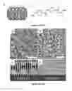 Fig. 22 - Templated synthesis of shape-controlled polymeric nanofibers by chemical vapor deposition (CVD) in liquid crystals