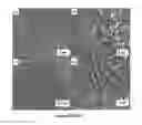 Fig. 23 - Templated synthesis of shape-controlled polymeric nanofibers by chemical vapor deposition (CVD) in liquid crystals