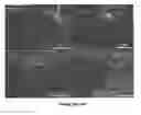 Fig. 28 - Templated synthesis of shape-controlled polymeric nanofibers by chemical vapor deposition (CVD) in liquid crystals