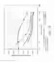 Fig. 04 - Oriented polylactic acid polymer based film