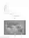 Fig. 02 - Compatibilized compositions, articles formed therefrom, and methods of manufacture