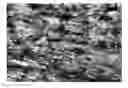Fig. 01 - POLYAMIDE MOULDING COMPOSITION AND MOULDED ARTICLE MADE THEREFROM