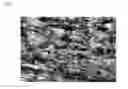 Fig. 02 - POLYAMIDE MOULDING COMPOSITION AND MOULDED ARTICLE MADE THEREFROM