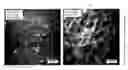 Fig. 01 - COMPATIBILIZED POLYMER COMPOSITIONS