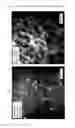 Fig. 02 - COMPATIBILIZED POLYMER COMPOSITIONS