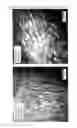 Fig. 04 - COMPATIBILIZED POLYMER COMPOSITIONS