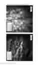 Fig. 08 - COMPATIBILIZED POLYMER COMPOSITIONS