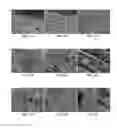 Fig. 12 - ENGINEERED SKIN EQUIVALENT, METHOD OF MANUFACTURE THEREOF AND PRODUCTS DERIVED THEREFROM