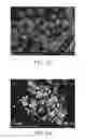 Fig. 05 - Iron particle passivation
