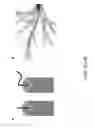 Fig. 04 - ANTI-FOULING ENDOSCOPES AND USES THEREOF