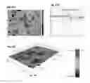 Fig. 26 - Substrate with a superhydrophobic coating and a method of fabricating thereof