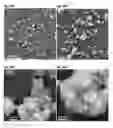 Fig. 29 - Substrate with a superhydrophobic coating and a method of fabricating thereof