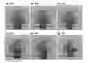 Fig. 34 - Substrate with a superhydrophobic coating and a method of fabricating thereof