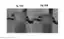 Fig. 41 - Substrate with a superhydrophobic coating and a method of fabricating thereof