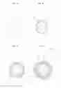 Fig. 02 - Quantum dot having core-shell structure