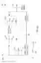 Fig. 04 - Levoglucosan-based flame retardant compounds