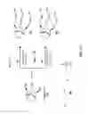 Fig. 10 - Levoglucosan-based flame retardant compounds
