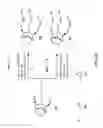 Fig. 12 - Levoglucosan-based flame retardant compounds