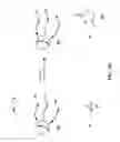Fig. 13 - Levoglucosan-based flame retardant compounds