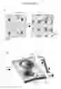 Fig. 07 - Folding biological tissue via programmed cellular contractility
