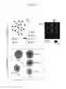 Fig. 22 - Folding biological tissue via programmed cellular contractility