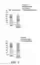 Fig. 06 - Methods and compositions relating to lung cell differentiation