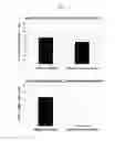 Fig. 02 - Culture method for stable proliferation of pluripotent stem cell while maintaining undifferentiated state
