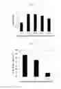 Fig. 08 - Culture method for stable proliferation of pluripotent stem cell while maintaining undifferentiated state