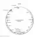 Fig. 05 - Recombinant adenoviruses and use thereof