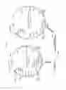 Fig. 06 - Recombinant adenoviruses and use thereof